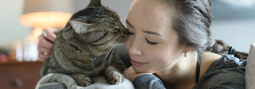 Tabby cat and woman lying down on the couch giving kitty kisses