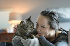 Tabby cat and woman looking at each other lying down on the couch