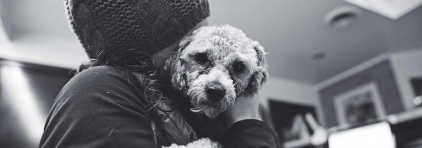 Dog looking sad giving puppy dog eyes while being held and hugged by a girl indoors