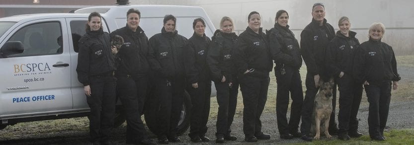 Cruelty investigative Department staff in uniform group shot with a dog in front of BC SPCA truck