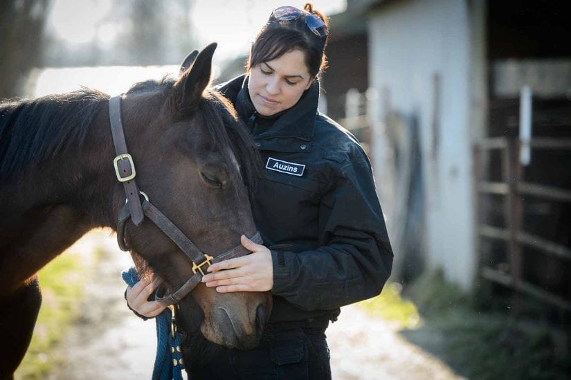 Cruelty investigative Department staff in uniform petting horse outdoors