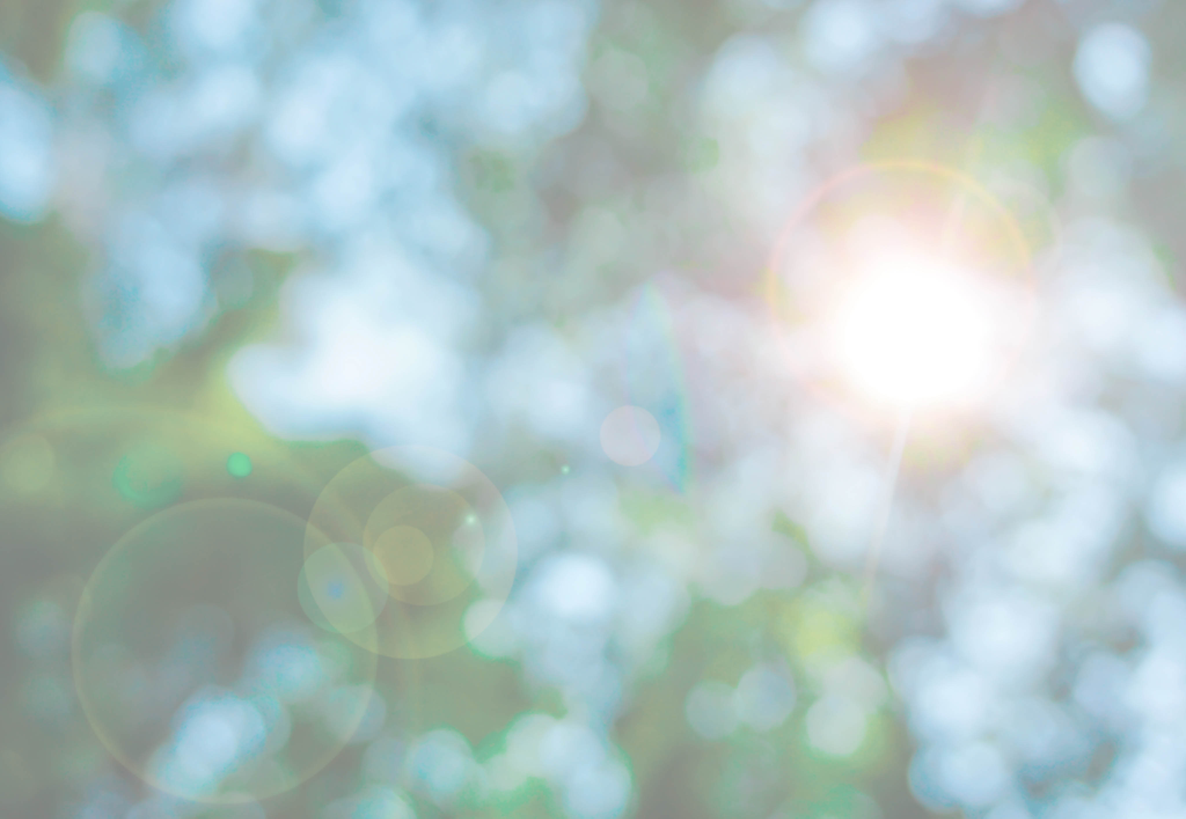 Look up view and blurred focus of trees and sun with lens flare background 