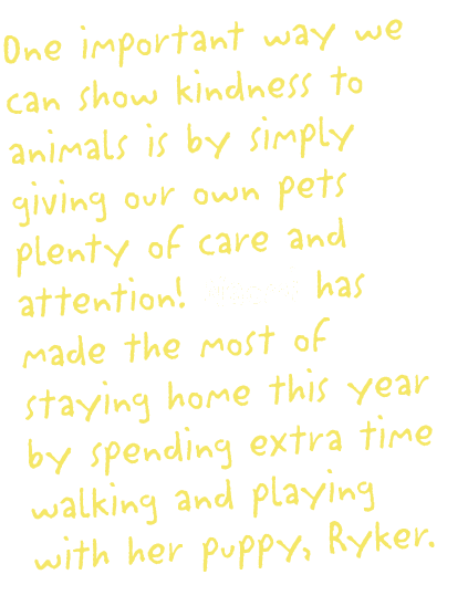 One important way we can show kindness to animals is by simply giving our own pets plenty of care and attention  Naom   