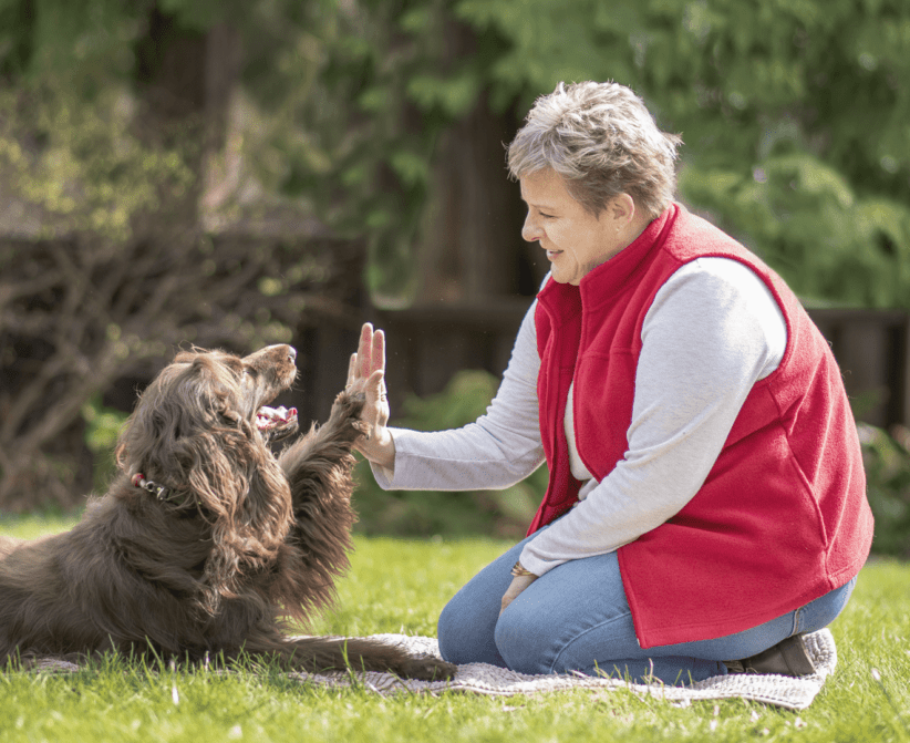 Company that runs dedicated dog training facility in New Westminster