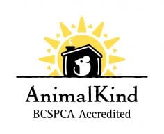 bc spca animal kind