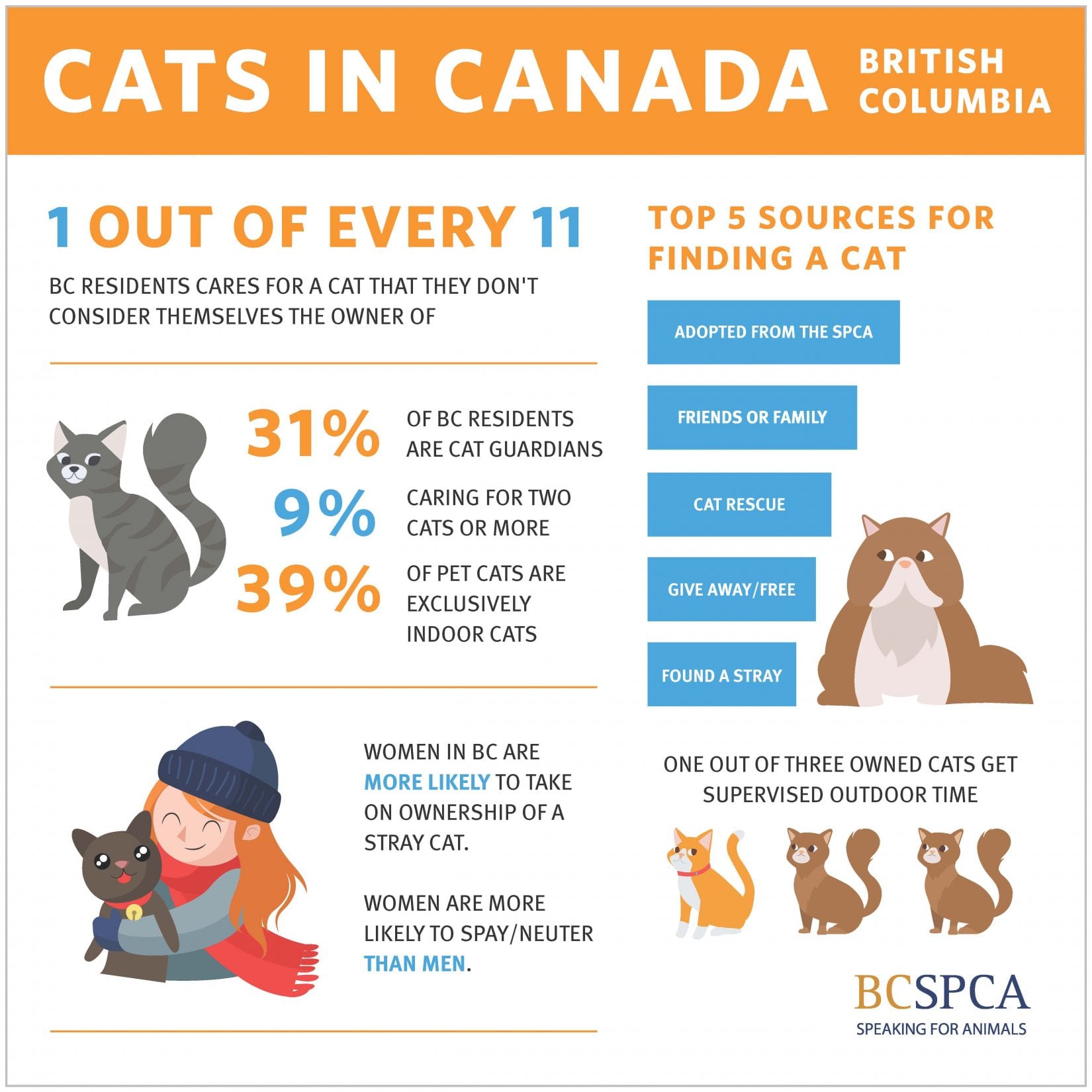 Tide is turning on cat overpopulation Some gains but still work to be done