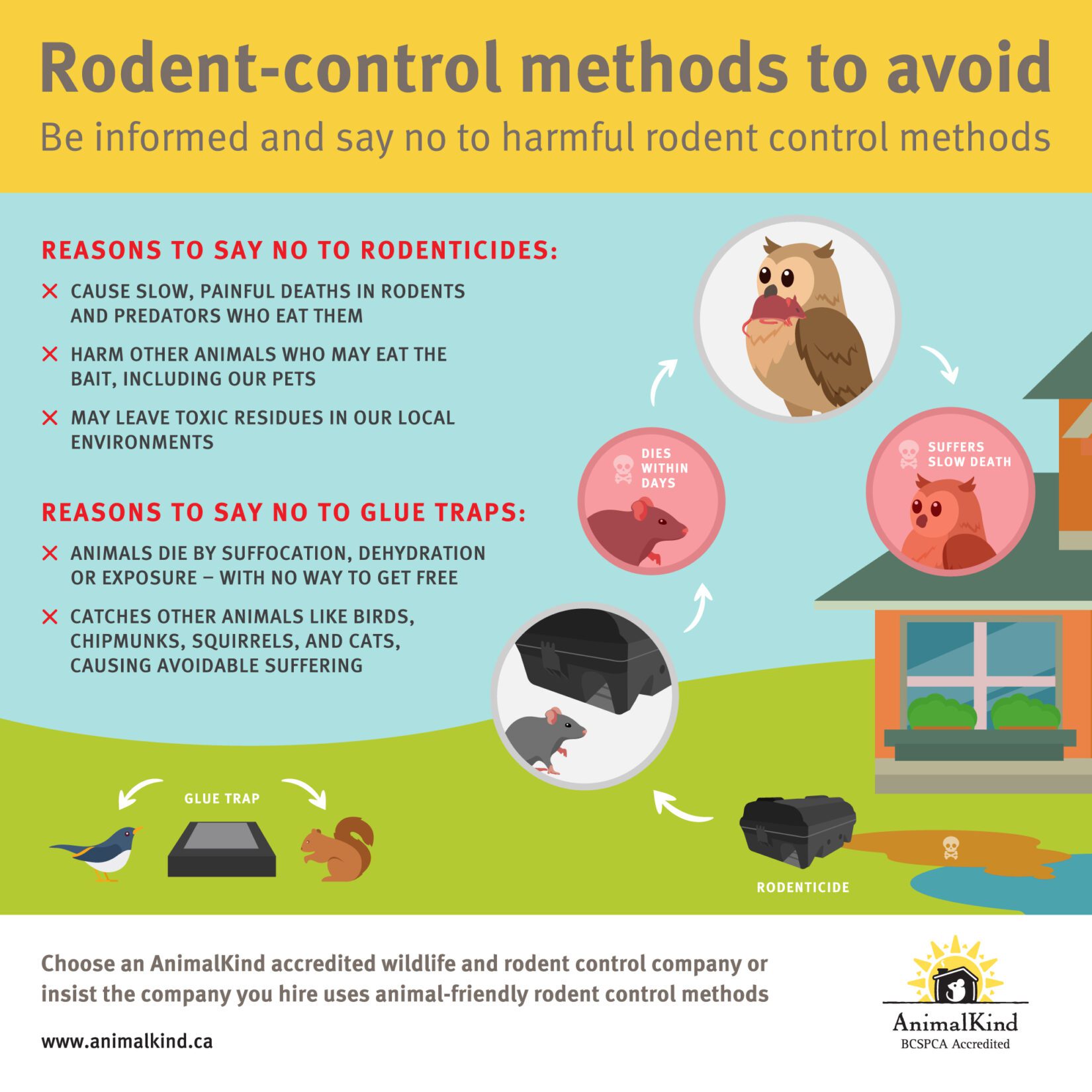 Rodent control methods new arrivals