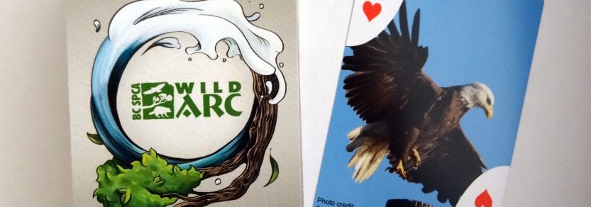 WIF playing card mock up