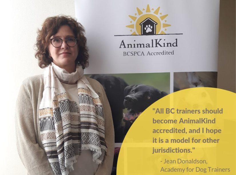 bc spca animal kind