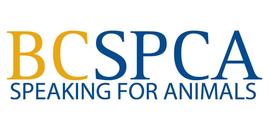 Spca The B C Society For The Prevention Of Cruelty To Animals