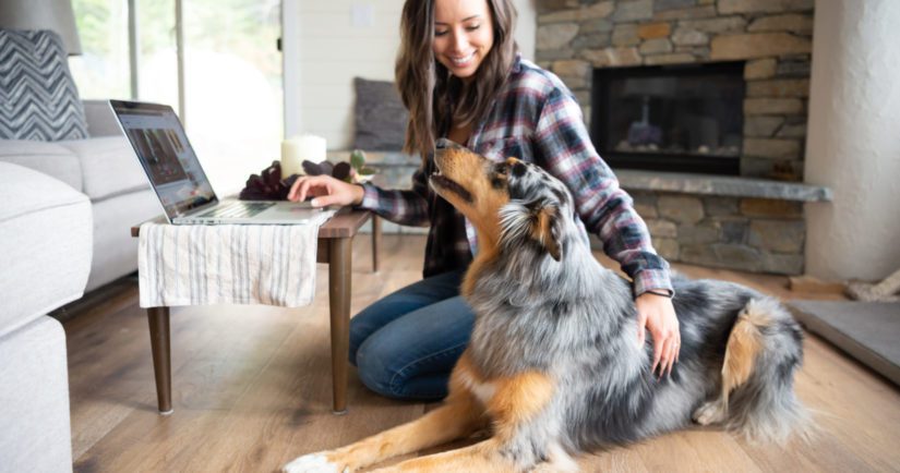 pets at home snuffle mat