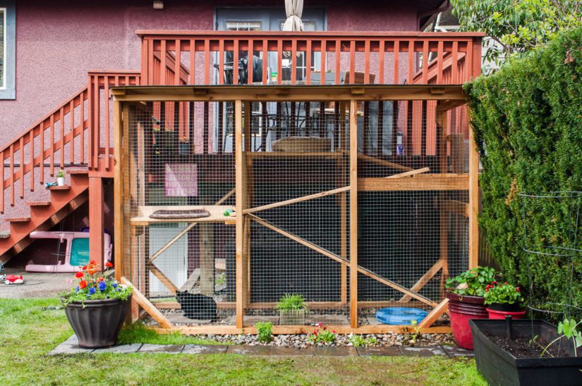 Catio porch clearance