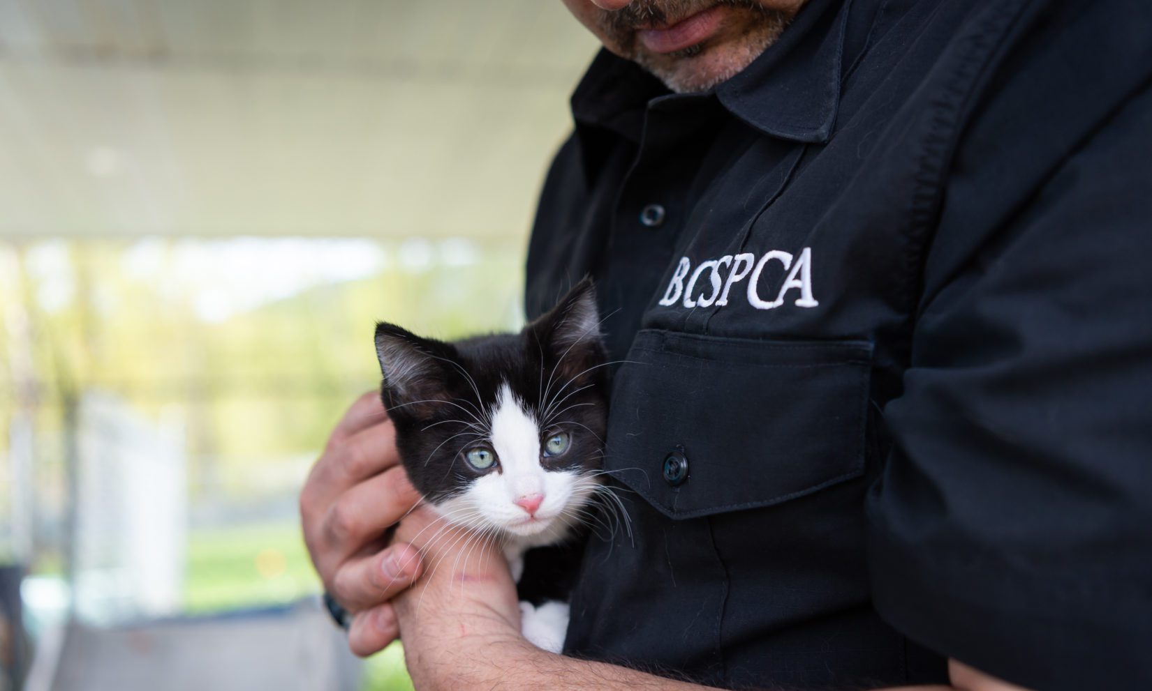 BC SPCA launches new low income spay neuter program for Shuswap