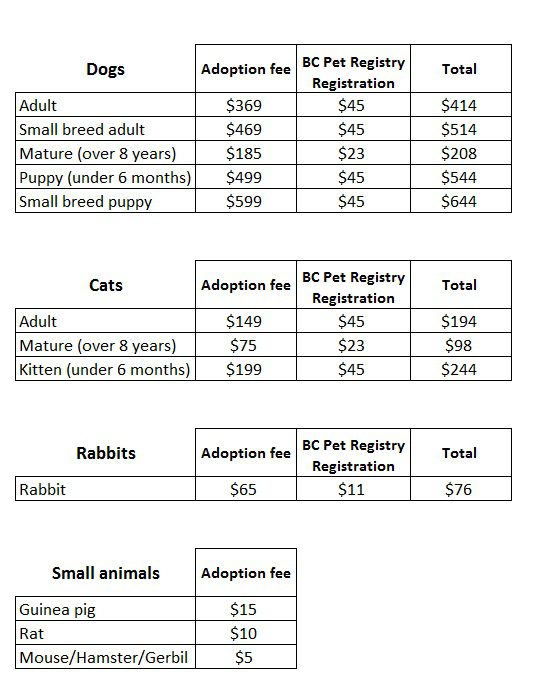 BC SPCA Maple Ridge Adoption Fees Chart