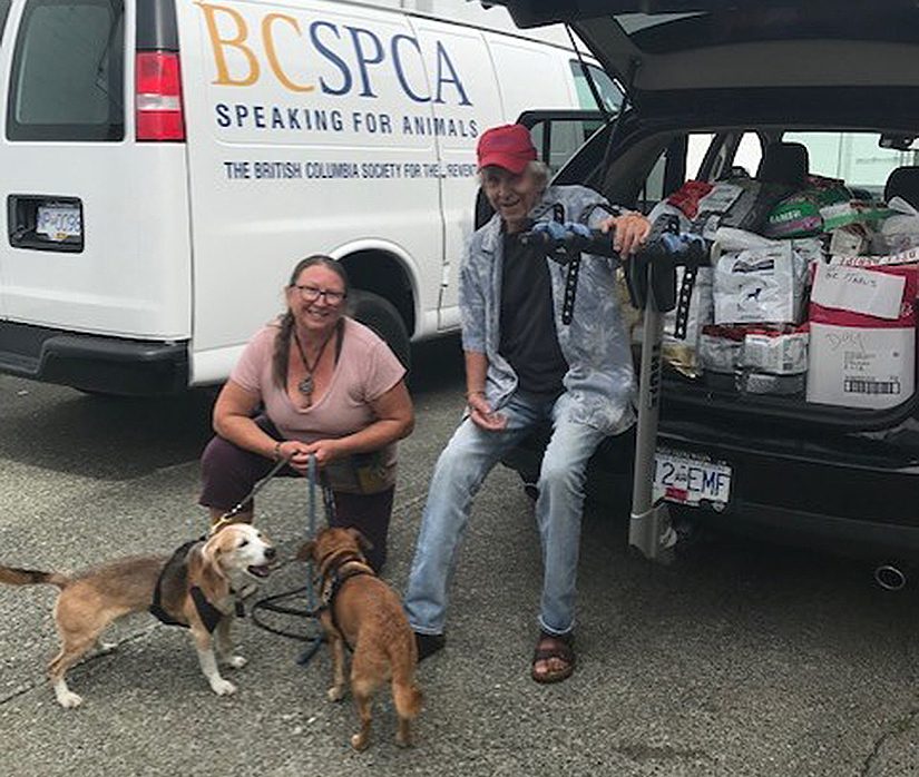 How The Spca Helped Give Back This Year Spca