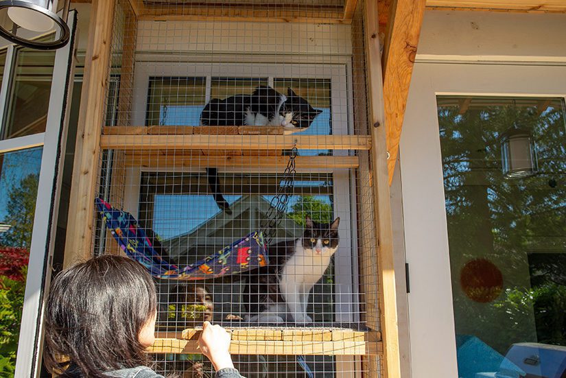 balcony cat cage