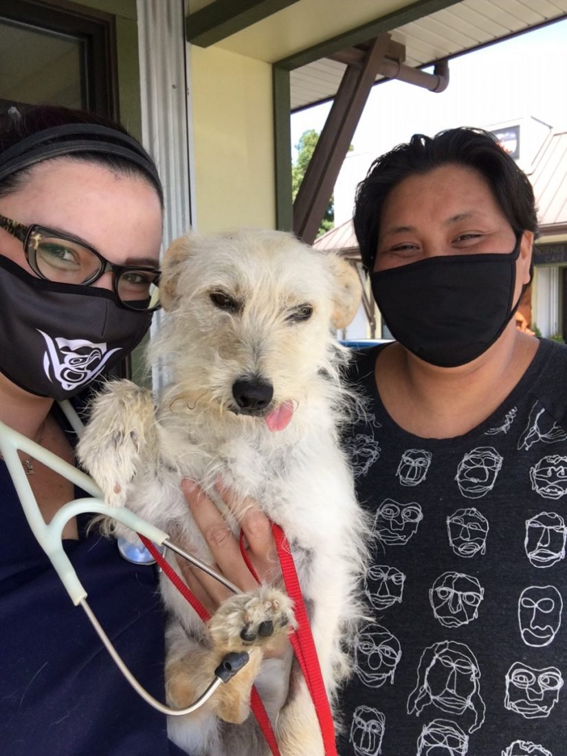 Seabird Island Band partners with BC SPCA in Chilliwack to provide