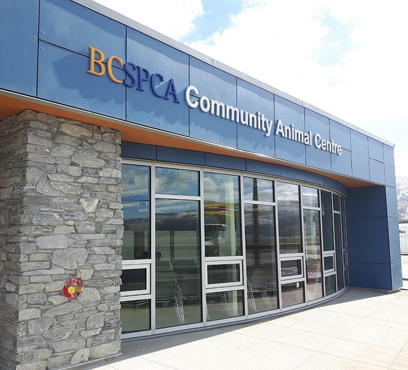 BC SPCA officially opens new Community Animal Centre in Kamloops