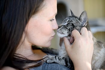 How to adopt a dog, cat or other animal from the BC SPCA