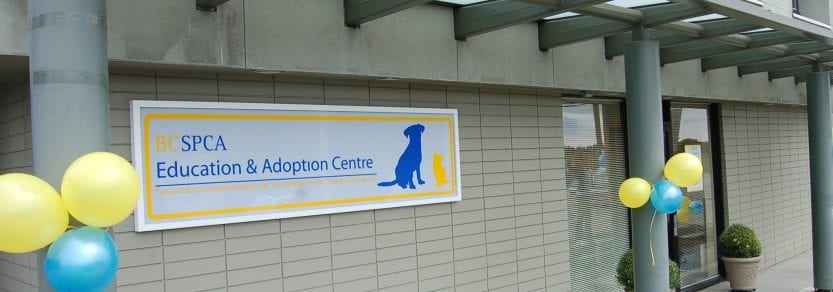 BC SPCA Richmond Education \u0026 Adoption 