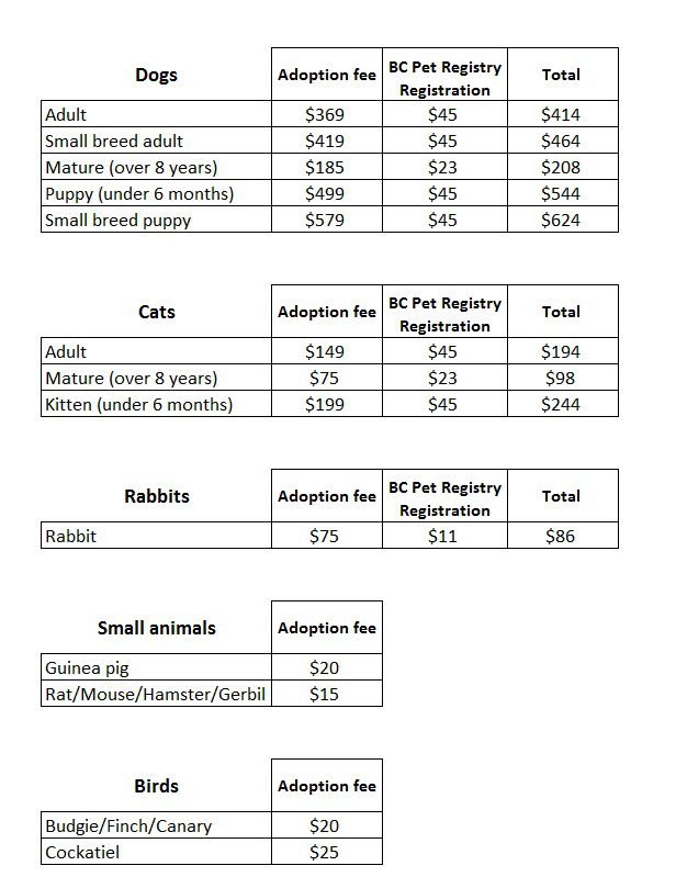 BC SPCA Victoria Adoption Fees Chart