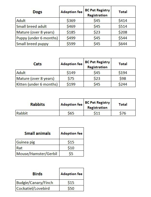 BC SPCA West Vancouver Adoption Fees Chart