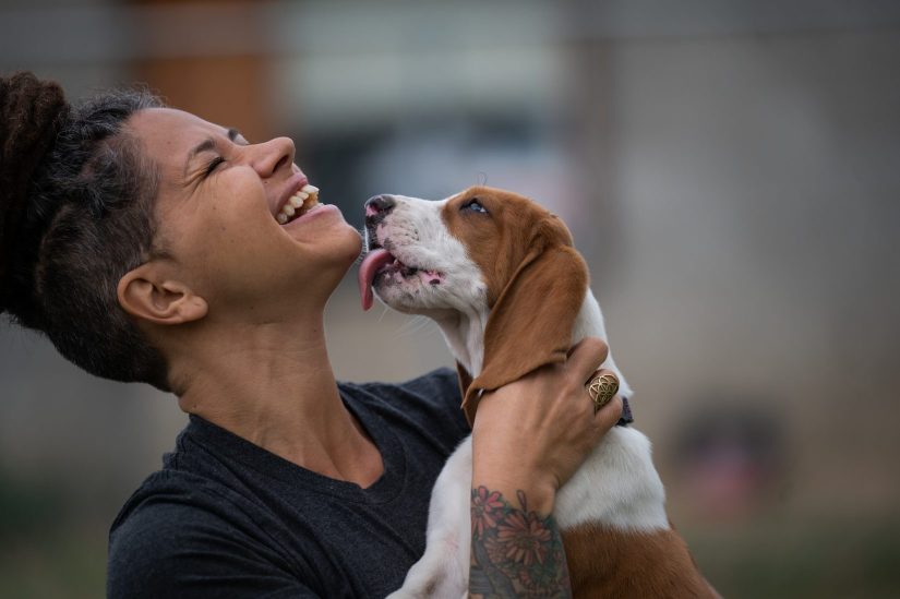 About Us Spca